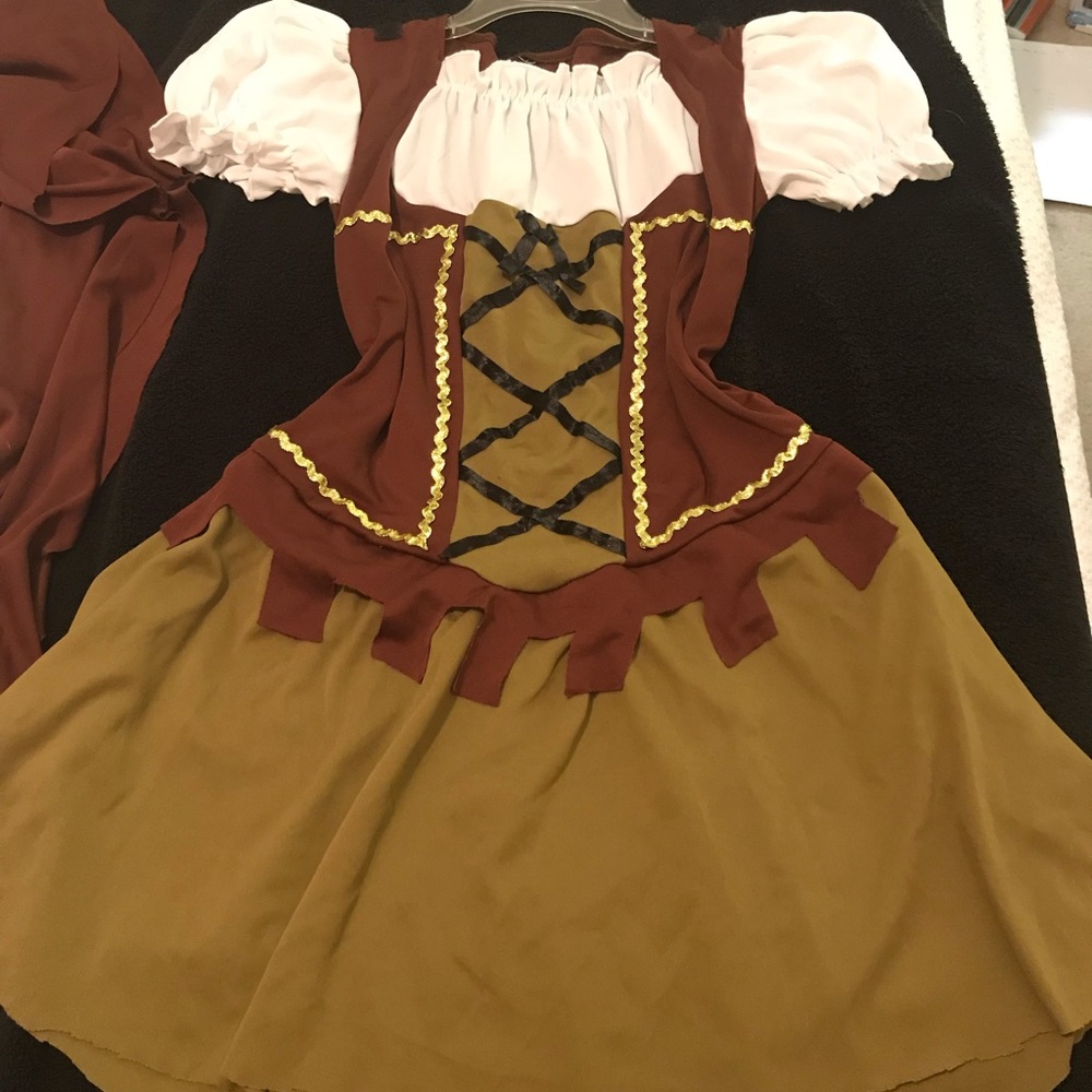 Halloween costume- beer girl/ troll/ mountain girl